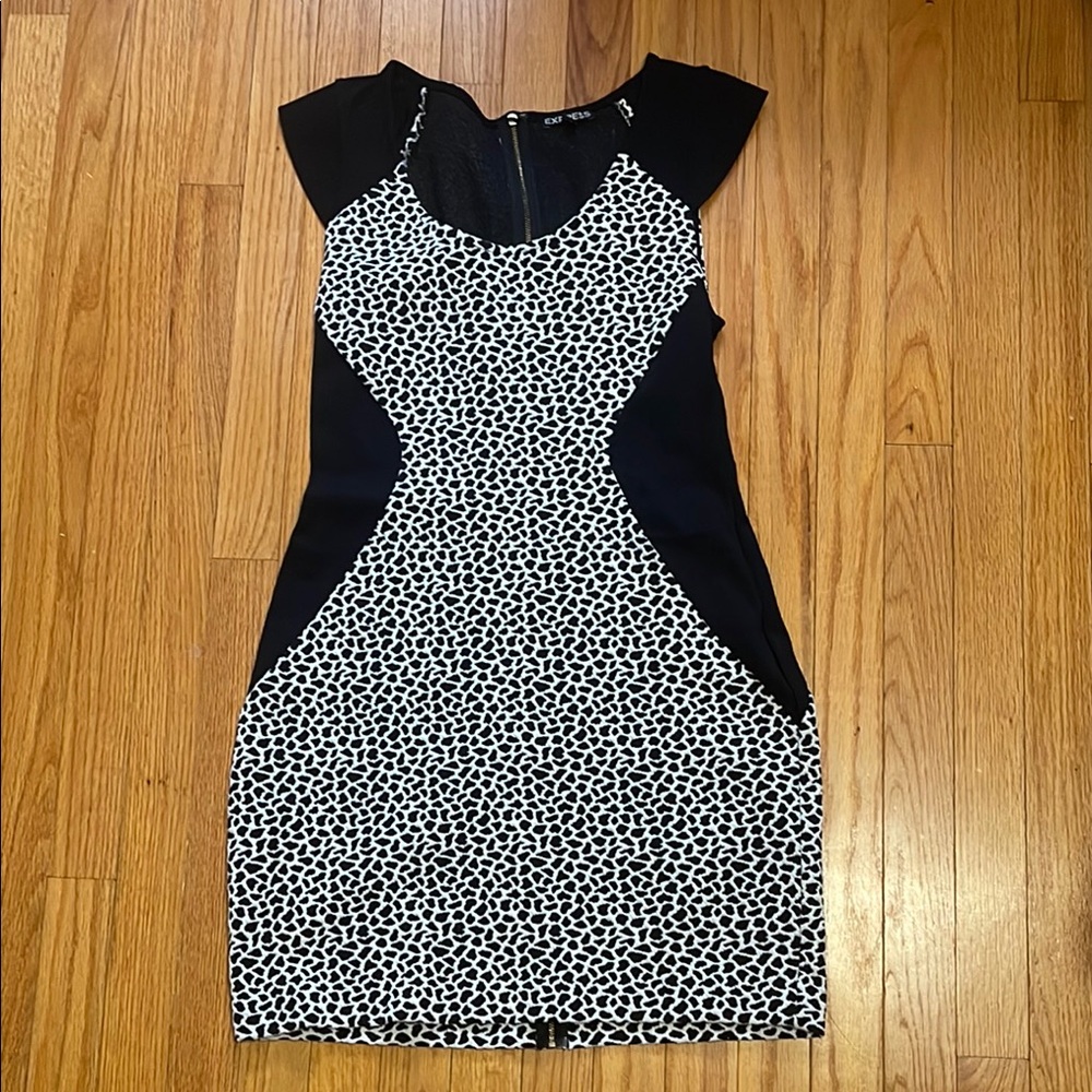 Express bodycon dress